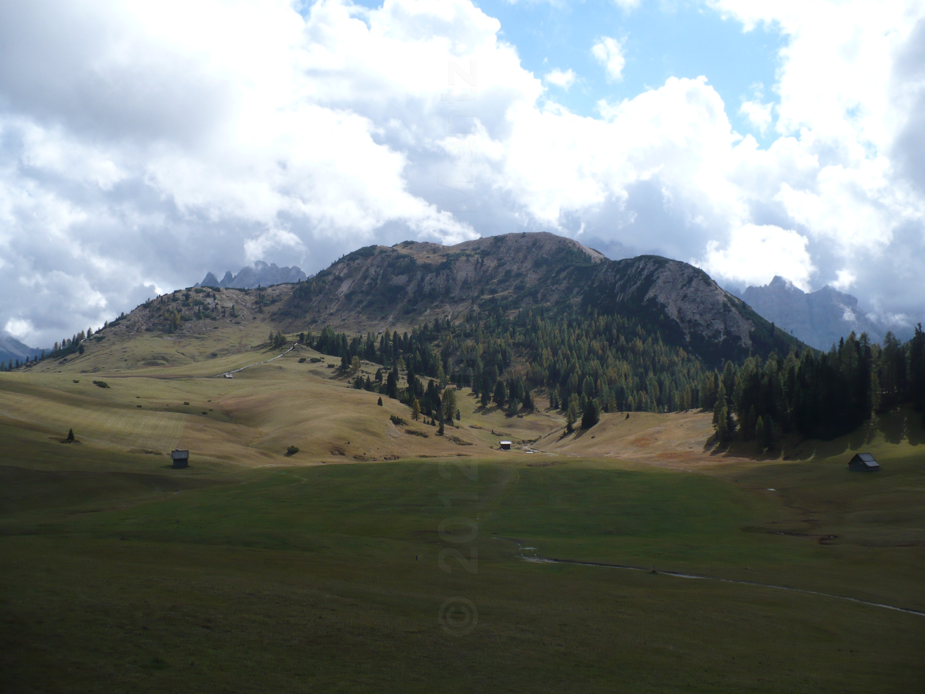 Images/3 Suedtirol_ Ploetzwiese (149).jpg